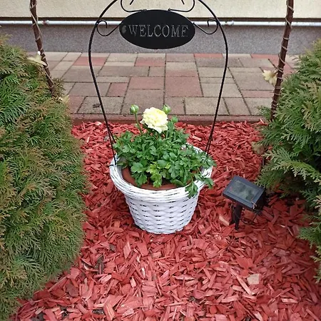 شقة Zalan Apartmann